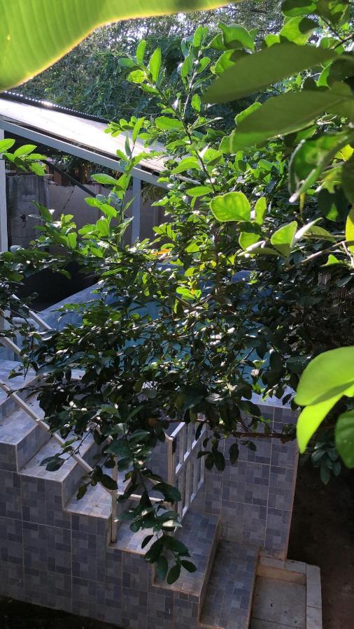Toucan House Coco Εξωτερικό φωτογραφία
